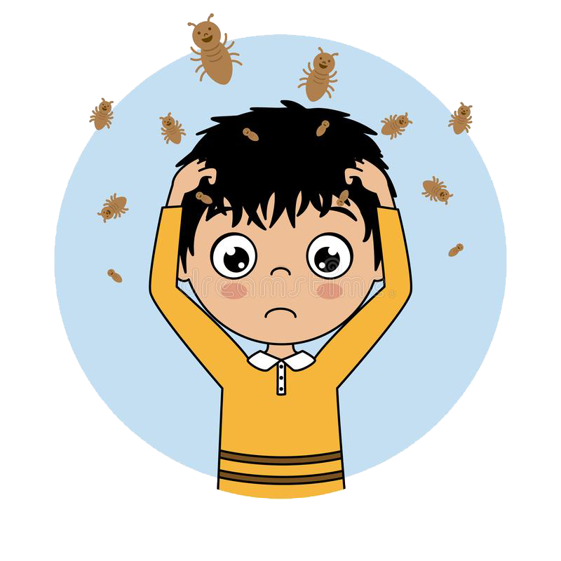 Head Lice Information